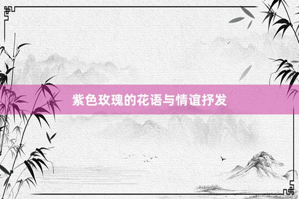 紫色玫瑰的花语与情谊抒发